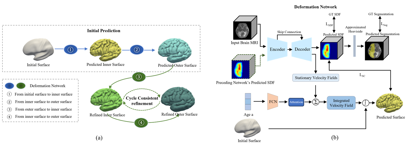 Model architecture